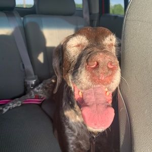 Meet your Posher, Kerry